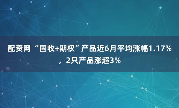 配资网 “固收+期权”产品近6月平均涨幅1.17%，2只产品涨超3%