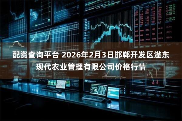 配资查询平台 2026年2月3日邯郸开发区滏东现代农业管理有限公司价格行情