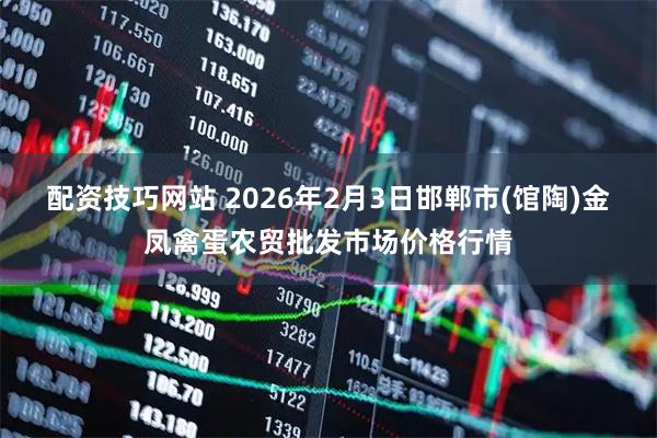 配资技巧网站 2026年2月3日邯郸市(馆陶)金凤禽蛋农贸批发市场价格行情